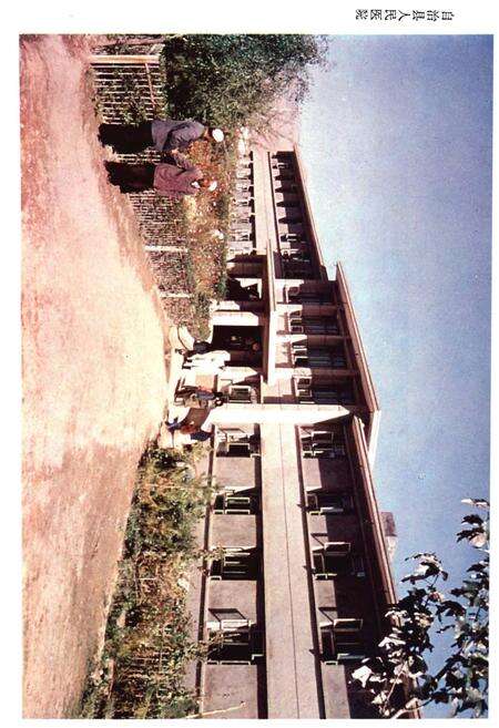 《循化撒拉族自治县概况》.pdf电子版_青海省志预览图4