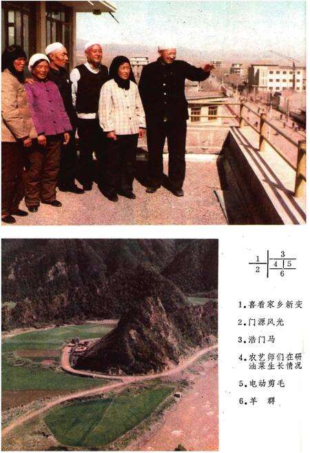《门源回族自治县概况》.pdf电子版_青海省志预览图4