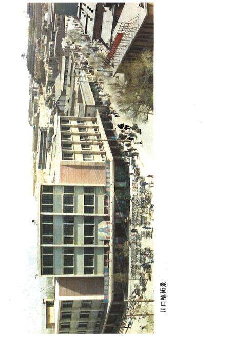 《民和回族土族自治县概况》.pdf电子版_青海省志预览图3