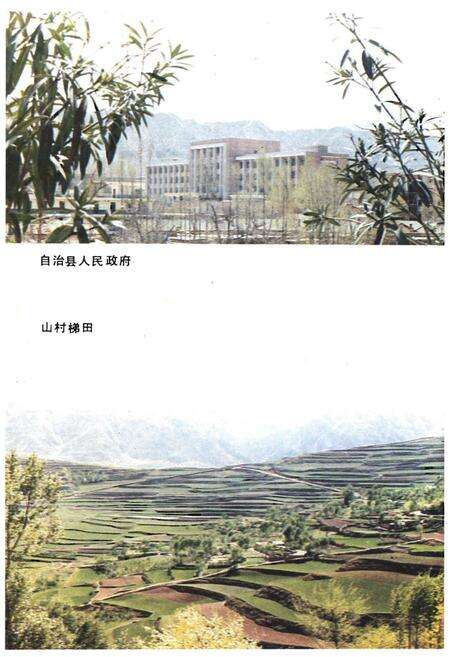 《民和回族土族自治县概况》.pdf电子版_青海省志预览图4