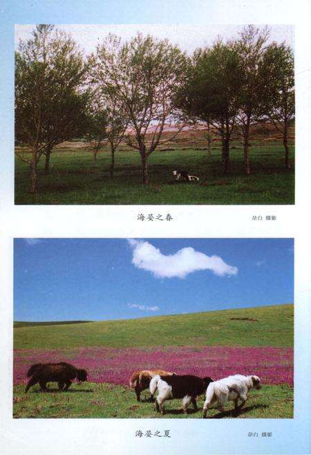 《海晏文史资料第三辑》.pdf电子版_青海省志预览图5