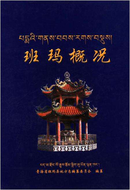 《班玛概况》.pdf电子版_青海省志缩略图