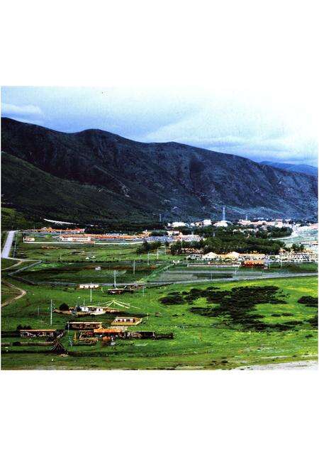 《班玛概况》.pdf电子版_青海省志预览图2