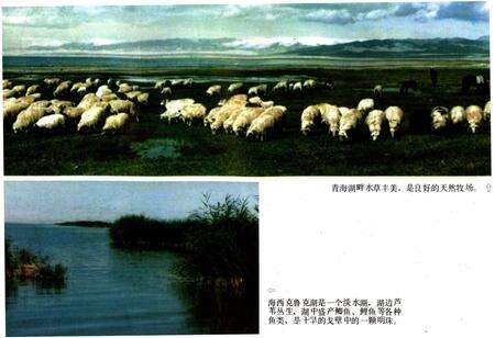 《青海风物志》.pdf电子版_青海省志预览图5