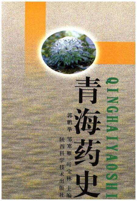 《青海药史》.pdf电子版_青海省志缩略图