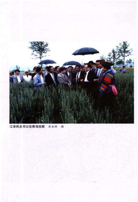 《中国西部概览 青海》.pdf电子版_青海省志预览图3