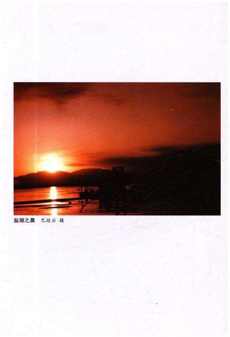 《中国西部概览 青海》.pdf电子版_青海省志预览图5