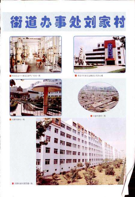 《山东强镇名村志》.pdf电子版_山东省志预览图1