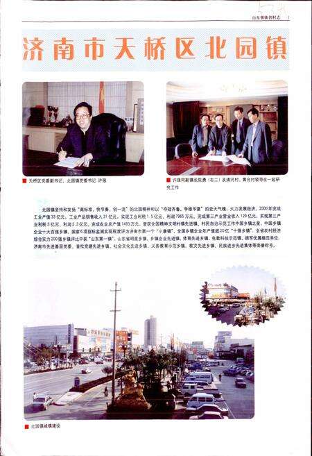 《山东强镇名村志》.pdf电子版_山东省志预览图3