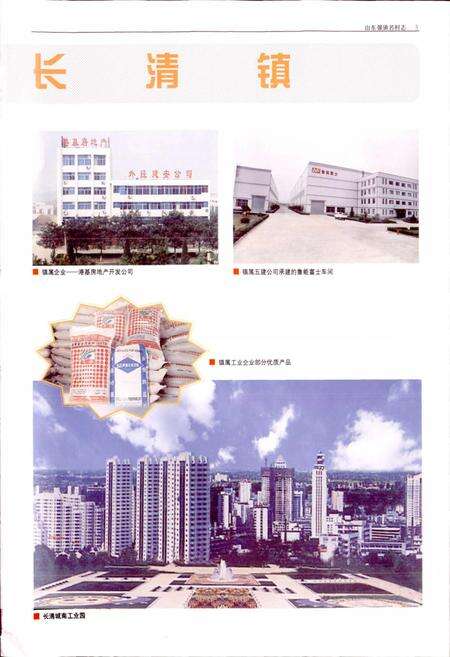 《山东强镇名村志》.pdf电子版_山东省志预览图5