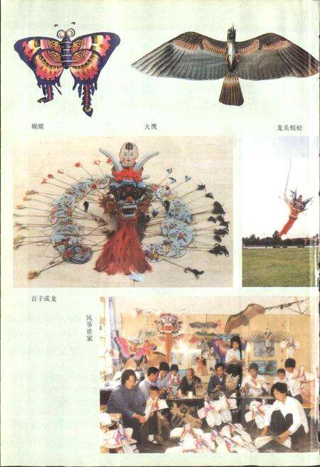 《杨家埠村志》.pdf电子版_山东省志预览图5