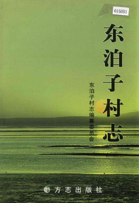 《东泊子村志》.pdf电子版_山东省志缩略图