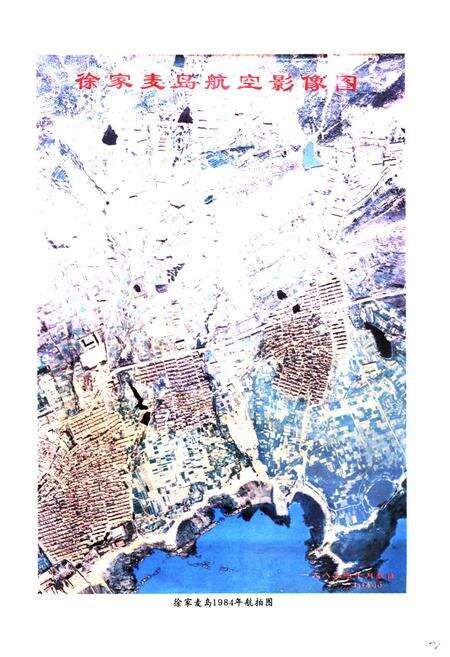 《徐家麦岛村志》.pdf电子版_山东省志预览图2