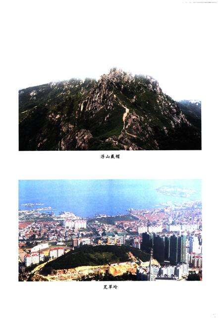 《徐家麦岛村志》.pdf电子版_山东省志预览图4