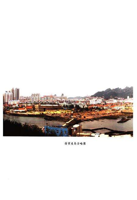 《徐家麦岛村志》.pdf电子版_山东省志预览图5