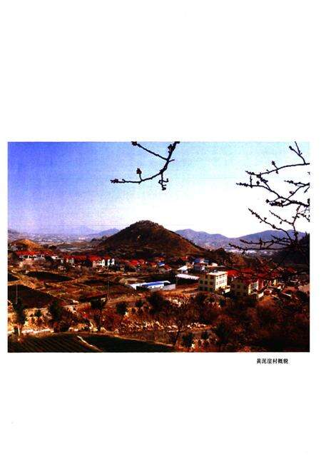 《黄泥崖村志》.pdf电子版_山东省志预览图4