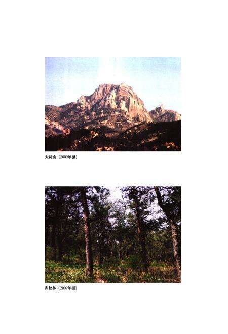 《黄泥崖村志》.pdf电子版_山东省志预览图5