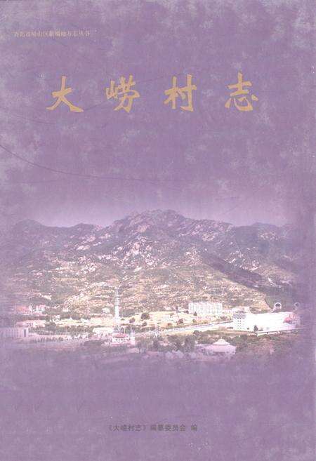 《大崂村志》.pdf电子版_山东省志缩略图