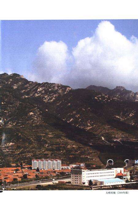 《大崂村志》.pdf电子版_山东省志预览图4