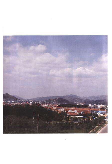 《李家下庄村志》.pdf电子版_山东省志预览图4