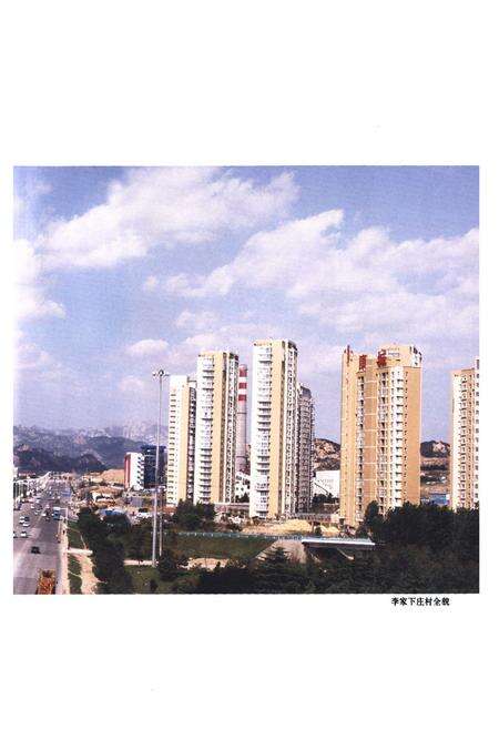 《李家下庄村志》.pdf电子版_山东省志预览图5