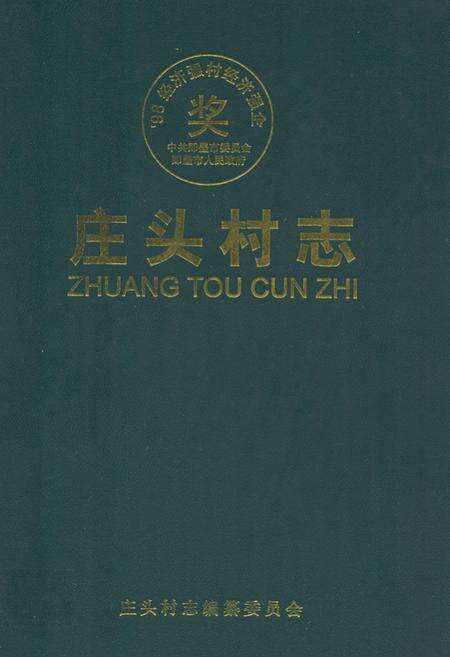 《庄头村志》.pdf电子版_山东省志缩略图