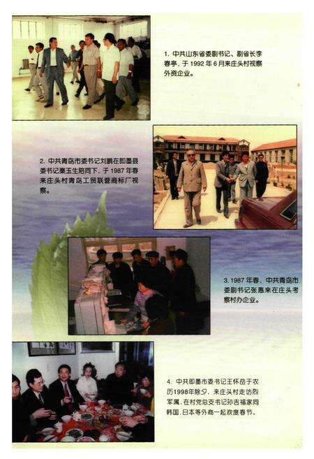 《庄头村志》.pdf电子版_山东省志预览图4