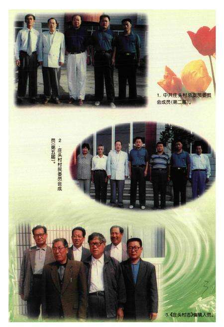 《庄头村志》.pdf电子版_山东省志预览图5