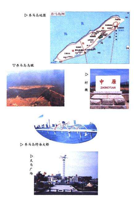 《中原村志》.pdf电子版_山东省志预览图5