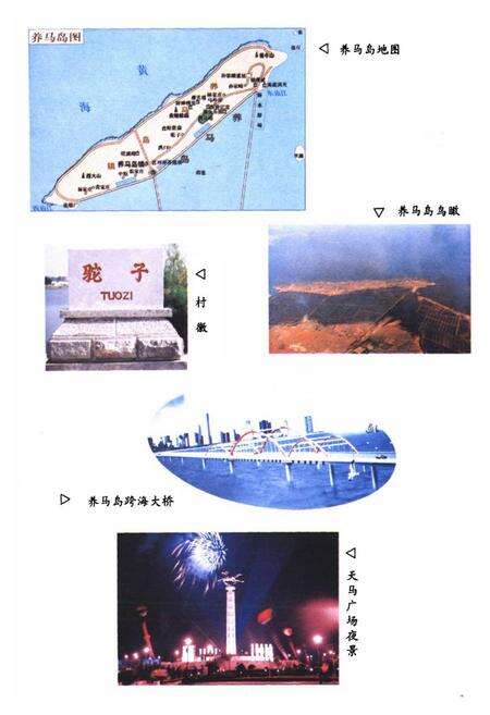 《驼子村志》.pdf电子版_山东省志预览图5