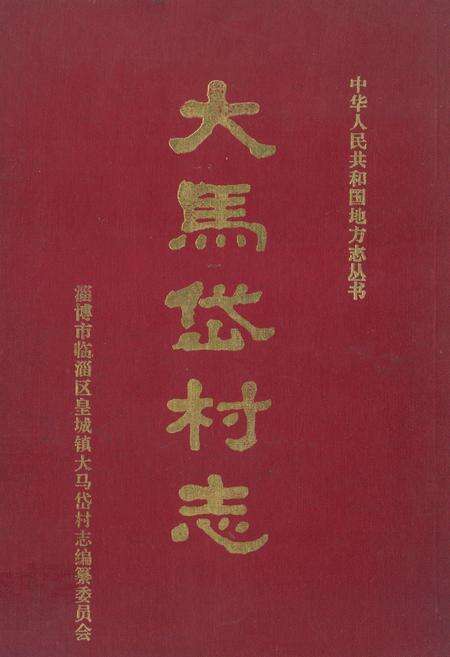《大马岱村志》.pdf电子版_山东省志缩略图
