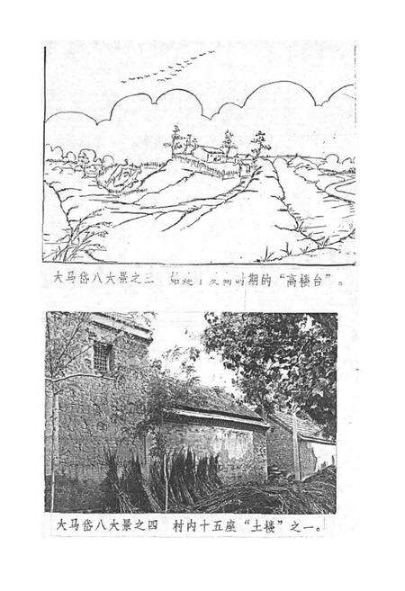 《大马岱村志》.pdf电子版_山东省志预览图4