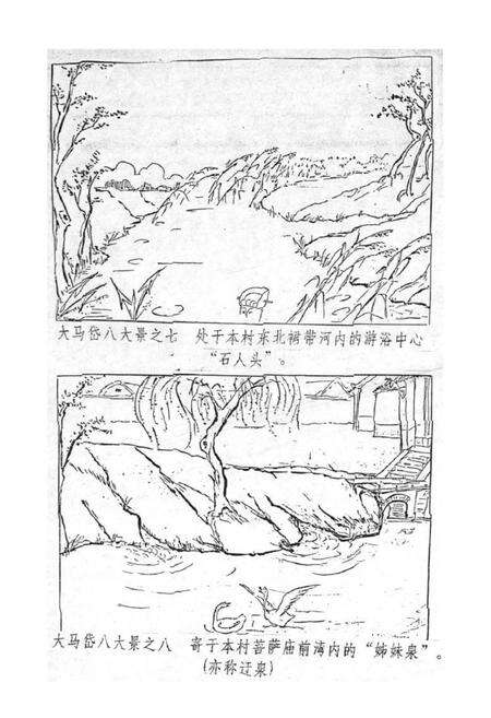 《大马岱村志》.pdf电子版_山东省志预览图5