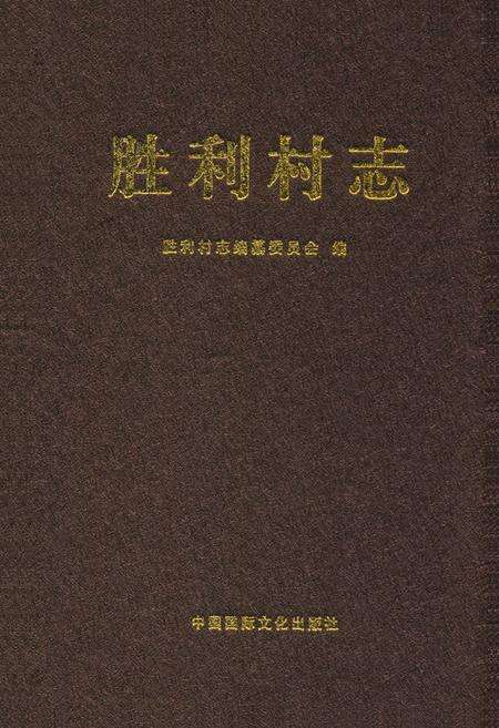 《胜利村志》.pdf电子版_山东省志缩略图