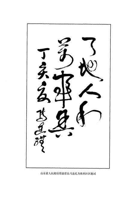 《胜利村志》.pdf电子版_山东省志预览图2