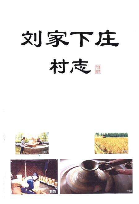 《刘家下庄村志》.pdf电子版_山东省志预览图2