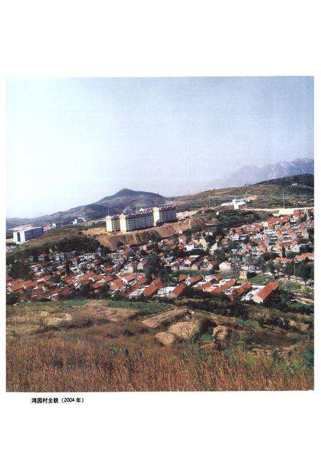 《鸿园村志》.pdf电子版_山东省志预览图2