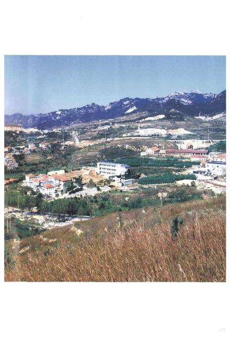 《鸿园村志》.pdf电子版_山东省志预览图3