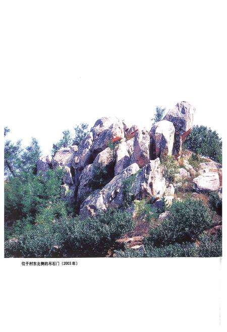 《鸿园村志》.pdf电子版_山东省志预览图4