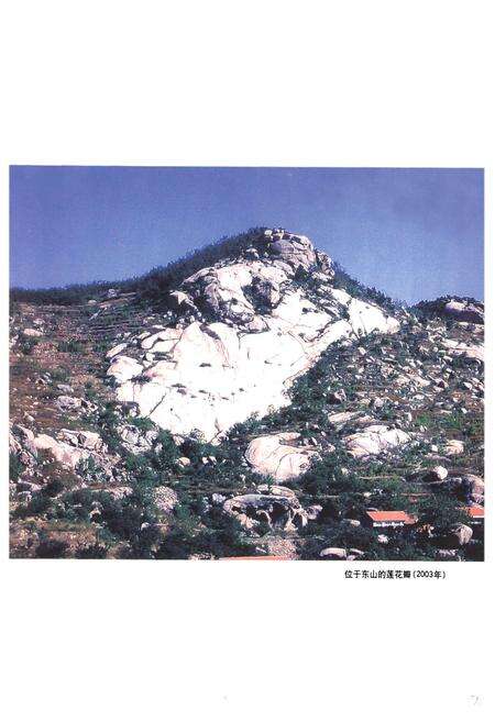 《鸿园村志》.pdf电子版_山东省志预览图5