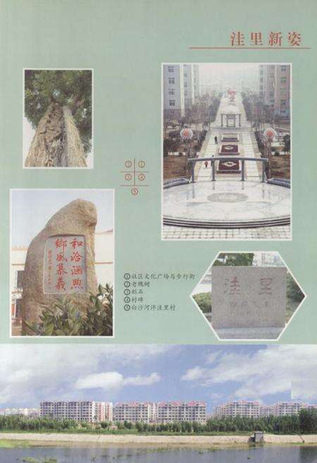 《洼里村志》.pdf电子版_山东省志预览图3