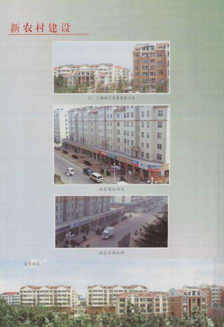 《洼里村志》.pdf电子版_山东省志预览图4