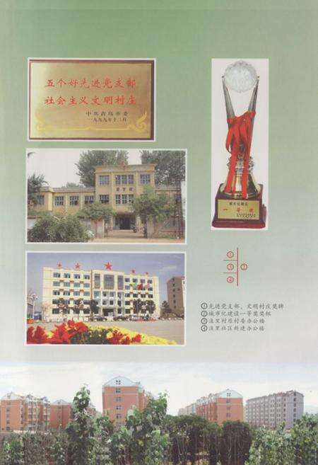 《洼里村志》.pdf电子版_山东省志预览图5