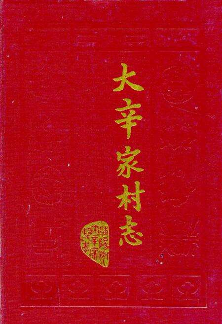 《大辛家村志》.pdf电子版_山东省志缩略图