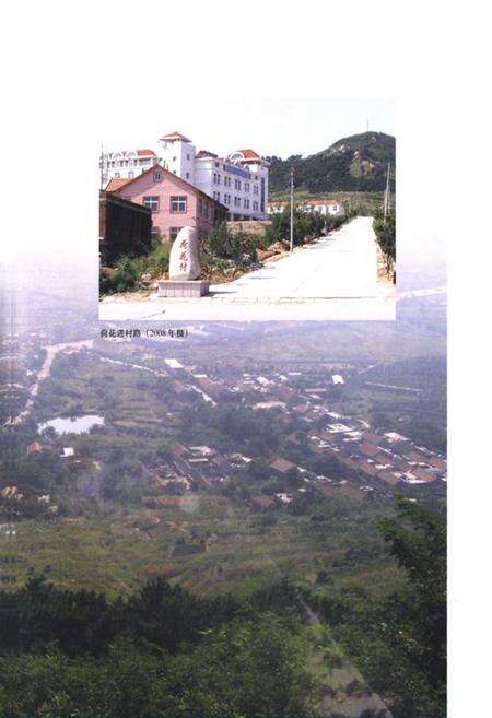 《荷花村志》.pdf电子版_山东省志预览图4