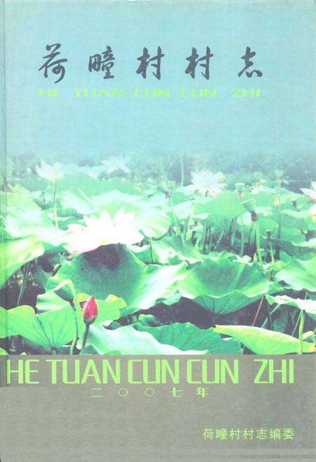 《荷疃村村志》.pdf电子版_山东省志缩略图