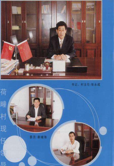 《荷疃村村志》.pdf电子版_山东省志预览图4