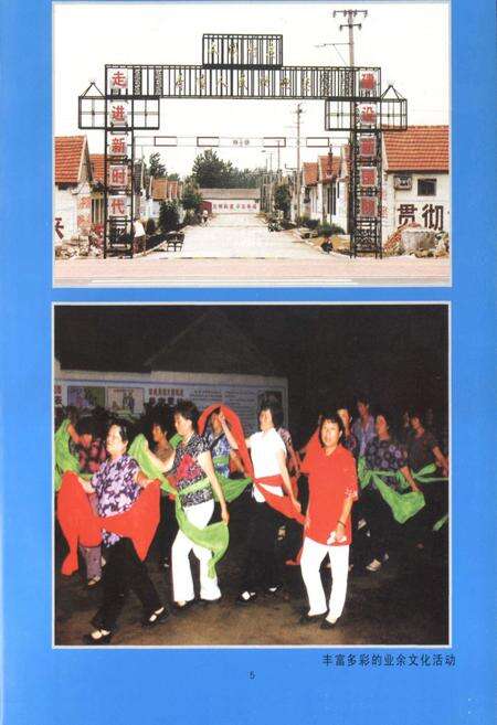 《荷疃村村志》.pdf电子版_山东省志预览图5