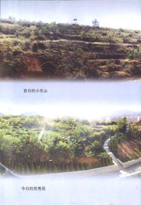 《烟台市芝车罘区小东夼村志(1652-2007)》.pdf电子版_山东省志预览图3