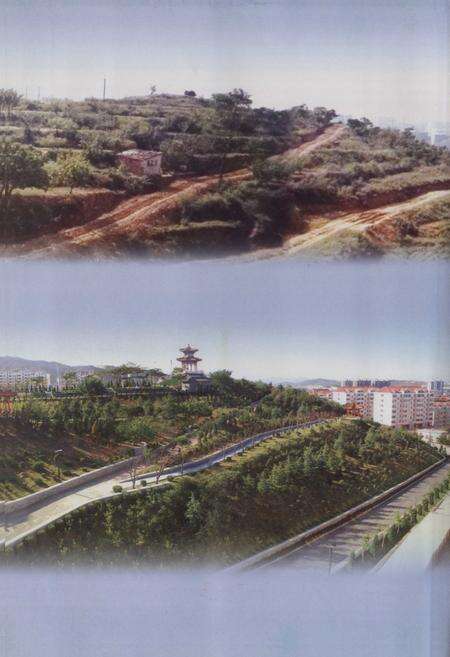 《烟台市芝车罘区小东夼村志(1652-2007)》.pdf电子版_山东省志预览图4